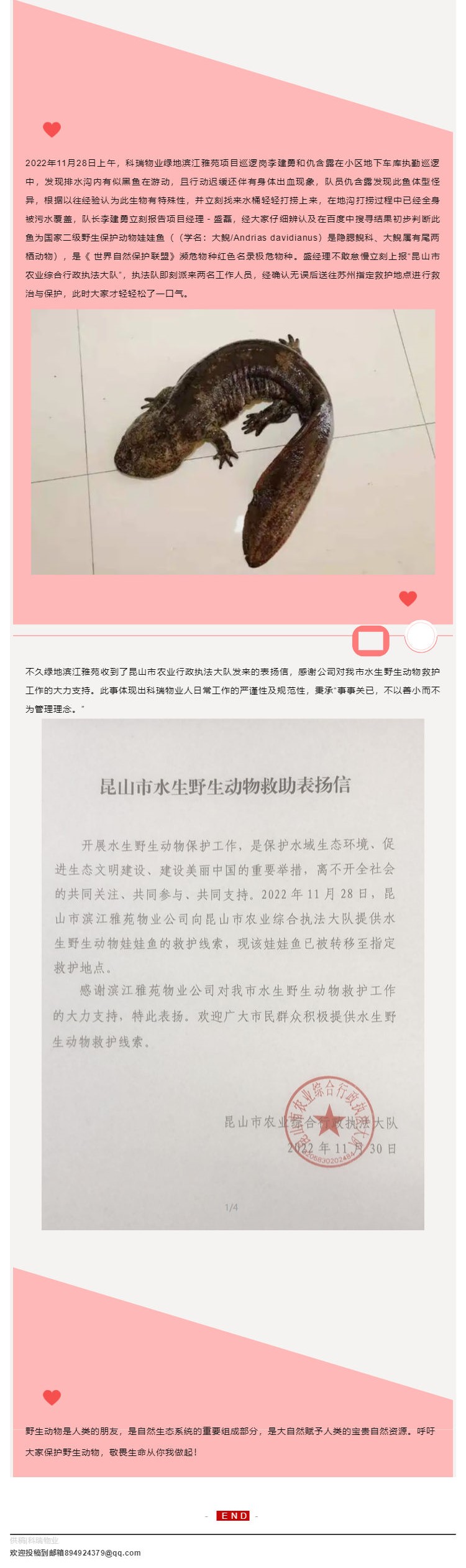 科瑞物业 _ 积极救助野生动物 共筑和谐自然生态_壹伴长图1.jpg
